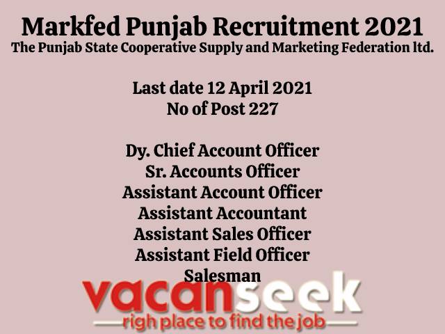 Markfed Punjab Recruitment 2021: The Punjab State Cooperative Supply and Marketing Federation ltd.  Job Listing thumbnail.